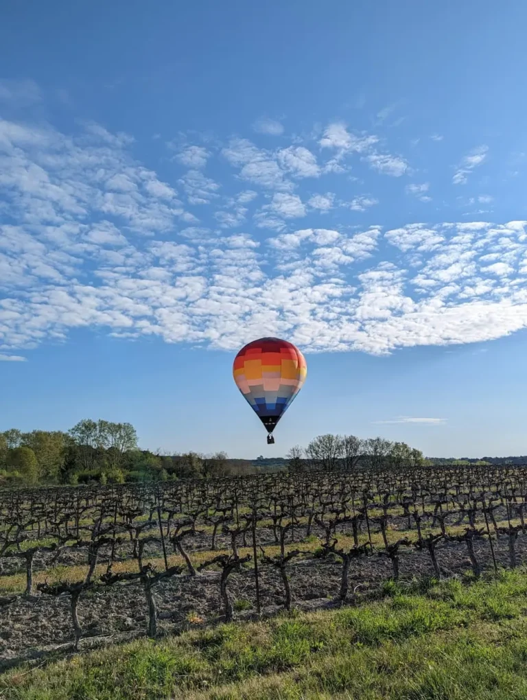 Img Lairduperche Mongolfière Vigne