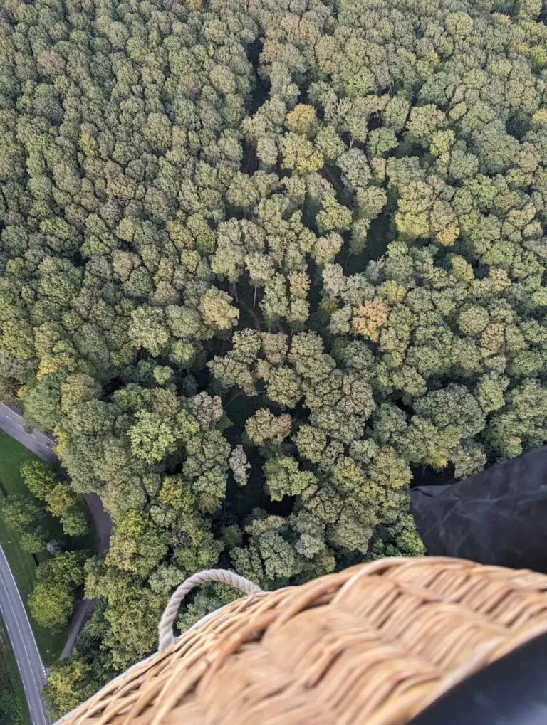 Img Vue Forêt Lairduperche