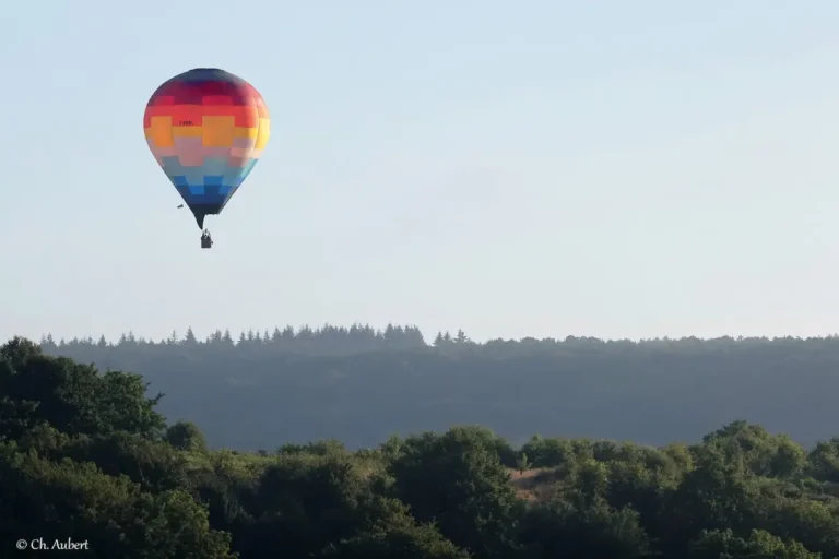 Montgolfière de L'Air du Perche en vol, survolant une forêt à l'horizon.