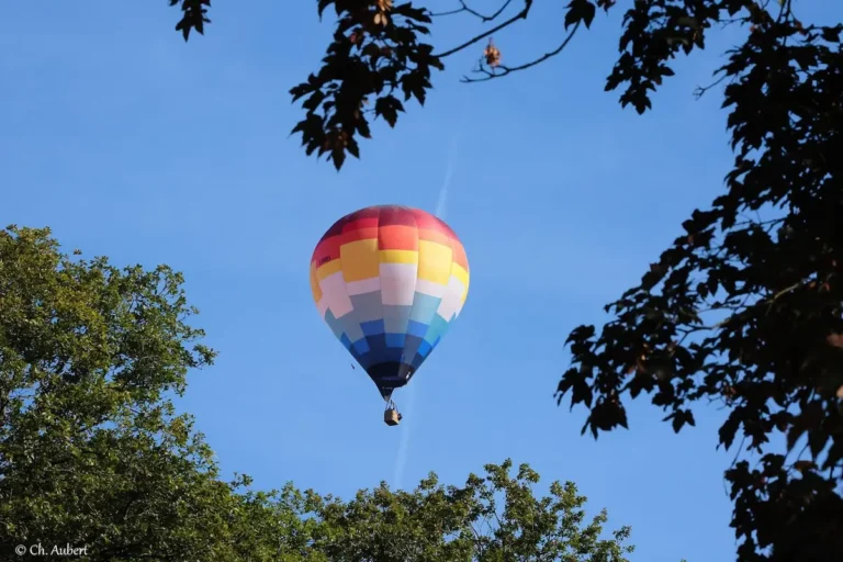 Montgolfière de L'Air du Perche flottant dans un ciel bleu dégagé, encadrée par des feuilles d'arbres